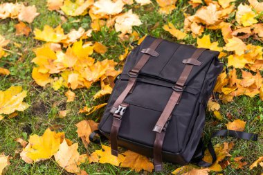 Sonbahar yapraklı siyah sırt çantası.