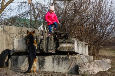 Küçük kız köpekle sokakta duruyor Tehlike, Bulanık, Seçici odaklanma
