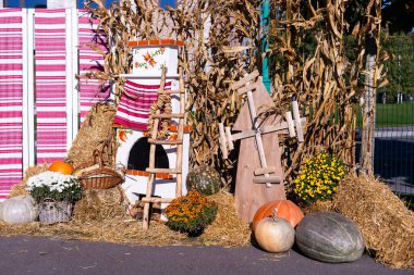 Yellow and orange pumpkins at the fair. Pumpkins in baskets and boxes. Many different pumpkins for sale. Concept of autumn, harvest and celebration.