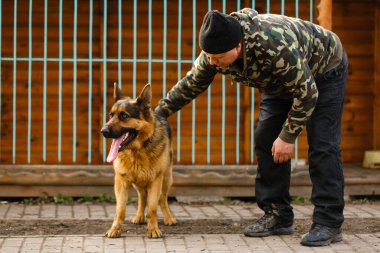 Alman çoban köpeğini eğiten bir adam..