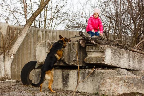 a little girl is hiding from a dog.