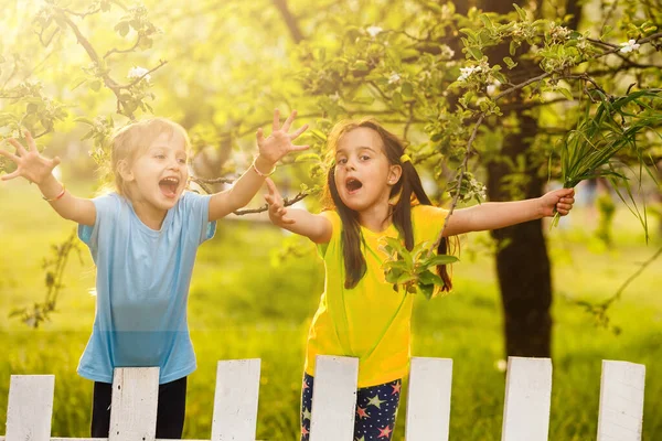 Дві Маленькі Дівчата Розважаються Парку — стокове фото