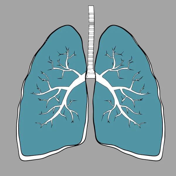 Illustrazione Polmonare Polmoni Piatti Concetto Persone Sanitarie Minuscole Esame Trattamento — Vettoriale Stock