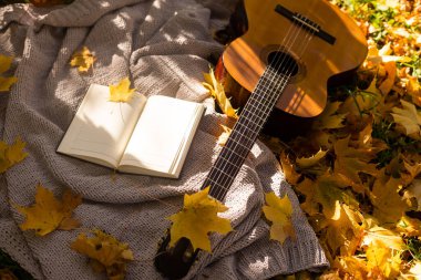 Kitapları, gitarı ve ekoseli sonbahar arkaplanı.