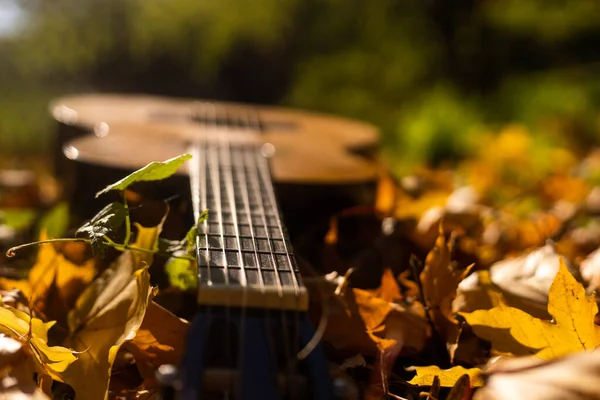 公園で黄色の葉 ギターと秋の背景 — ストック写真