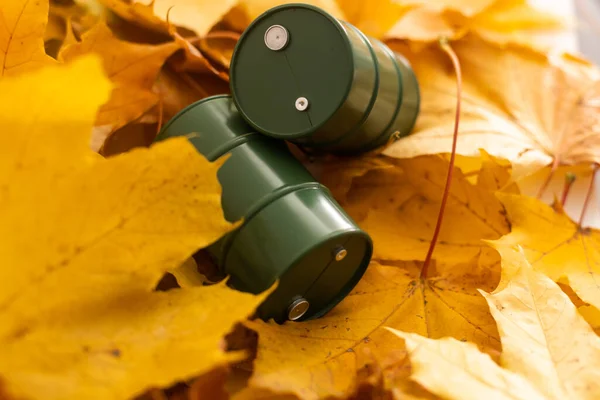 나뭇잎 기름이든 장난감 — 스톡 사진