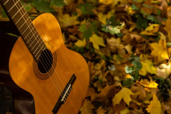 吉他和秋叶背景 — 图库照片