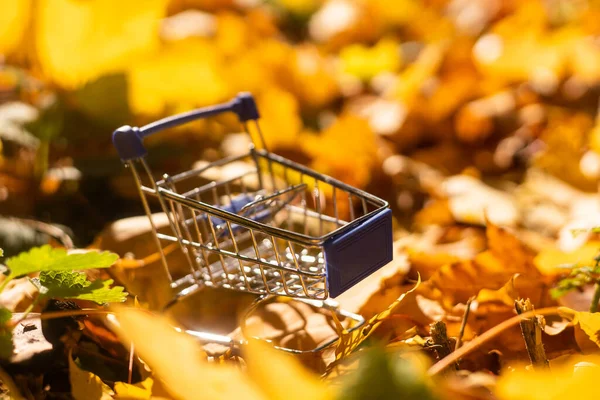 Gelbe Blätter Und Einen Spielzeugwagen Saisonverkauf Oder Rabattgeschäft Herbst — Stockfoto