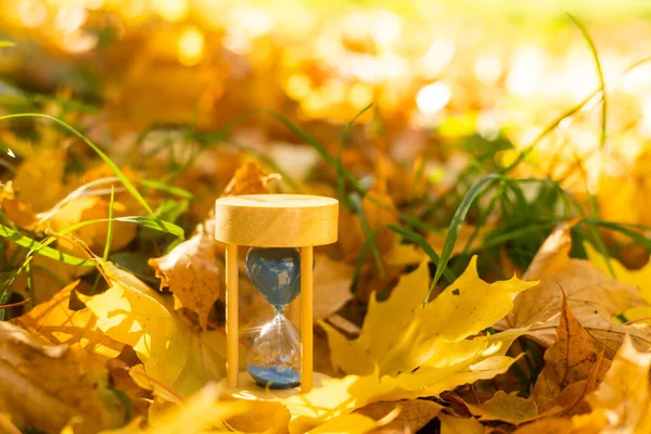 Hourglass Autumn Leaves Park Symbol Passing Time Symbol Short Life — Stock Photo, Image