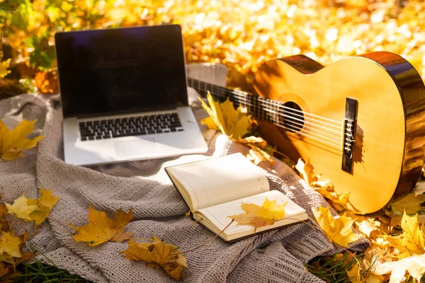 黄色の葉とラップトップでのギター — ストック写真