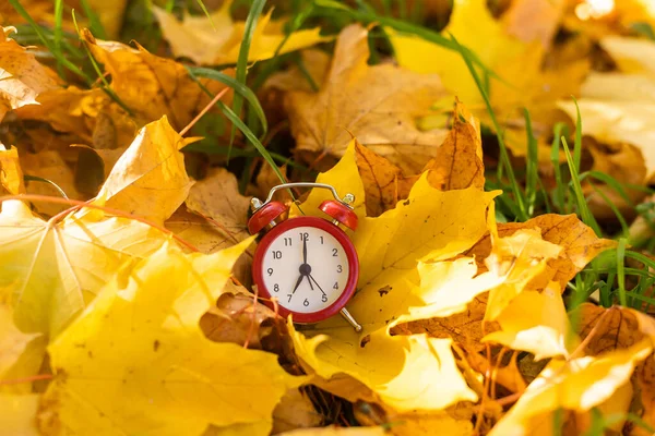 Ρολόι Και Φύλλα Κίτρινο Φόντο Bokeh — Φωτογραφία Αρχείου