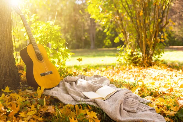 黄色のカエデの葉は公園で演奏されるギターの上にあります サイドビュー — ストック写真