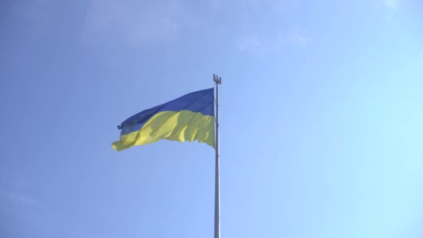 Bandiera Nazionale Dell Ucraina Contro Cielo Blu — Video Stock