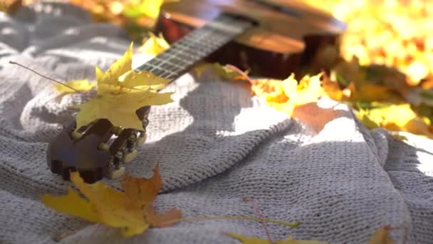 Gitarre Und Herbstblätter Hintergrund — Stockvideo