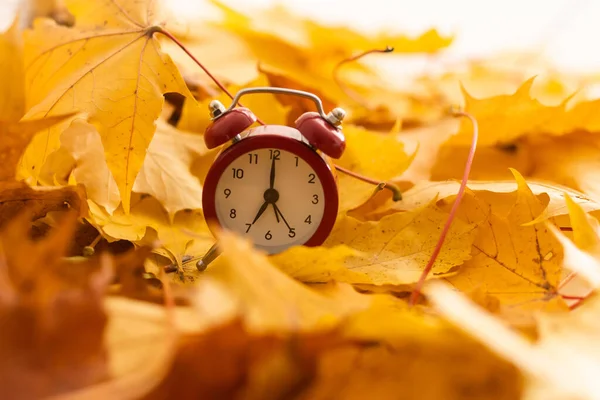 Red alarm clock and flying leaves on autumnal orange background. Back to school concept