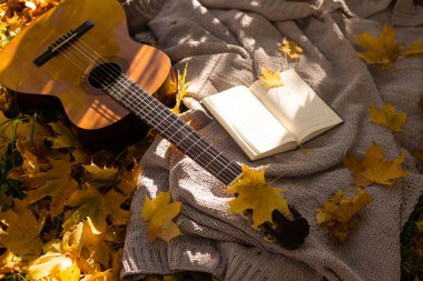Sarı akçaağaç yaprakları parktaki ekose bir gitarın üzerinde yatar. Yan görünüş. sonbahar