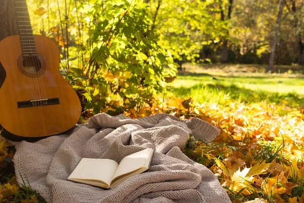 Fond Automne Avec Livres Guitare Plaid — Photo