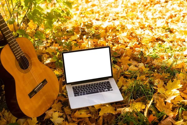 黄色叶子和笔记本电脑上的吉他 — 图库照片