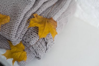 Beyaz arkaplanda sonbahar kompozisyonu ekose ve sarı yapraklar