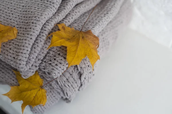 Composition Automnale Carreaux Feuilles Jaunes Sur Fond Blanc — Photo