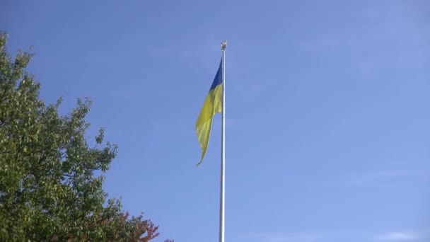 Národní Vlajka Ukrajiny Proti Modré Obloze — Stock video