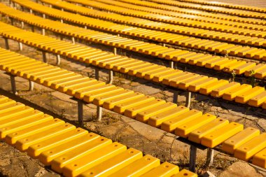 Parktaki ahşap banklar çimenlerin ve kaldırım taşlarının üzerinde. Yakın plan.