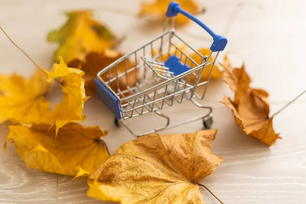 Autumn sale: shopping cart with yellow fall leaves framed with dry leaves on white background. Seasonal sale or fall discount deal with copy space for your text.