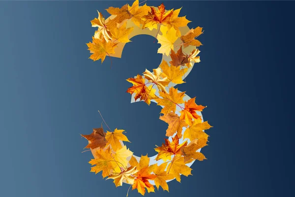 Nummer Van Kleurrijke Herfstbladeren Kardinaal Nummer Drie Maakt Herfstbladeren Autumnal — Stockfoto
