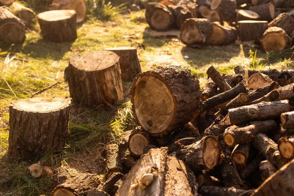Natuurlijke Houten Achtergrond Close Van Gehakt Brandhout Brandhout Gestapeld Geprepareerd — Stockfoto