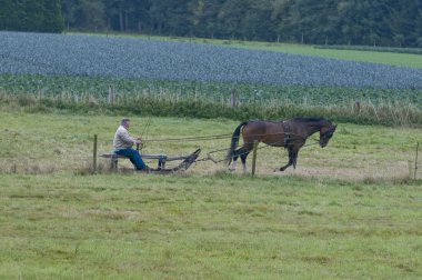 bir horsebreeder taslak için onun güzel hayvan öğretiyor.
