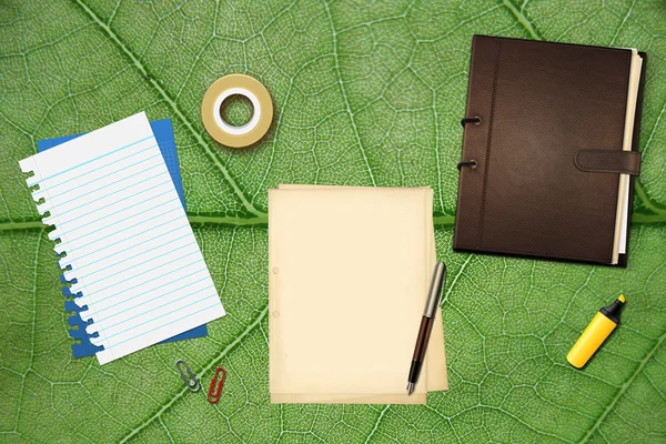 kalem ve kitap ofis kağıtları