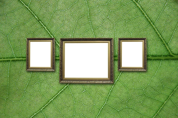 Foto frame hangen op de muur — Stockfoto