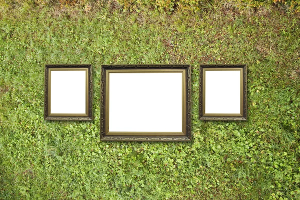 Picture frame hang on wall — Stock Photo, Image