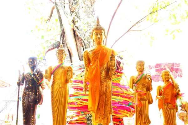 Immagine di Buddha, Thailandia — Foto Stock