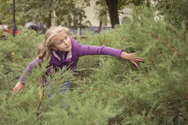 Nice girl in purple seeking for something — Stock Photo, Image