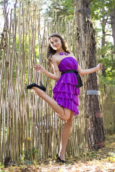 Leuk meisje in violet jurk in de buurt van rieten hek — Stockfoto