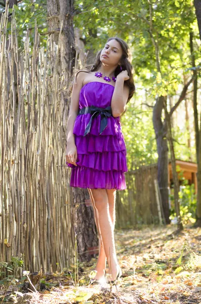 Menina agradável em vestido violeta perto de cerca de vime — Fotografia de Stock