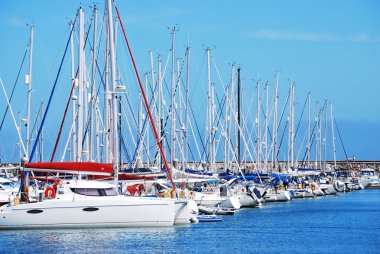 brixham 4 tekneler
