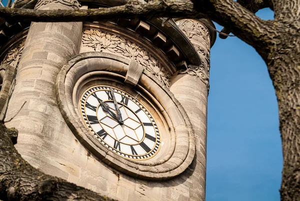 Klocktornet horniman museum — Stockfoto