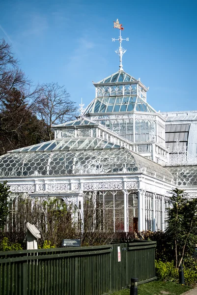 The Horniman Museum Conservatory — Stock Photo, Image