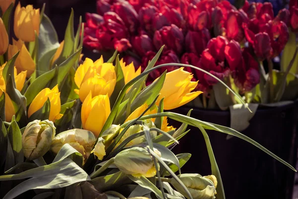 Tulipanes en el mercado —  Fotos de Stock
