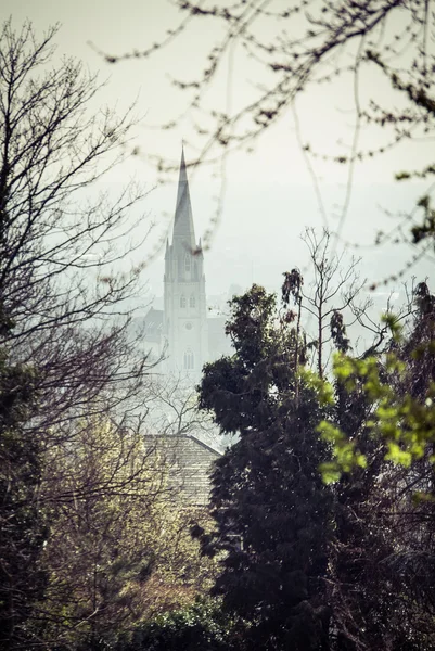 St. Peter Parish — Stock Photo, Image