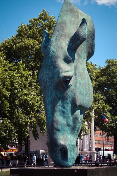 Horse's Head — Stock Photo, Image