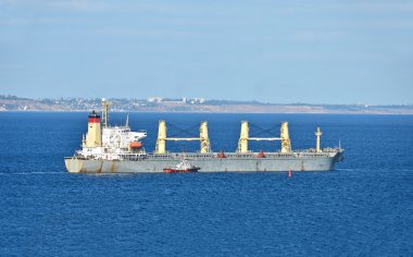 yardımcı pilot toplu kargo gemisi