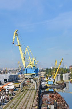 bağlantı noktası kargo vinç