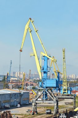 bağlantı noktası kargo vinç