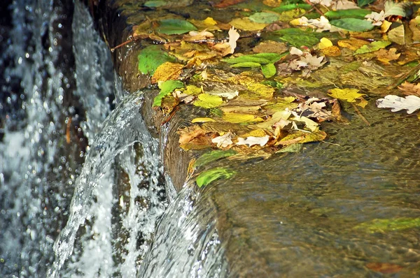 Herbstwasserfall — Stockfoto