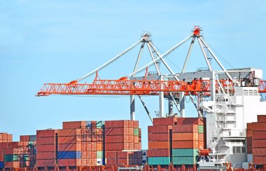 bağlantı noktası kargo vinç ve konteyner