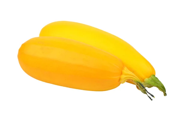 Midollo vegetale giallo (zucchine ) — Foto Stock
