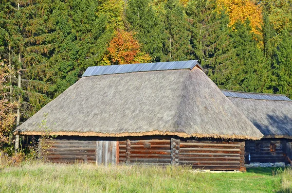 A szalma tető régi pajta — Stock Fotó